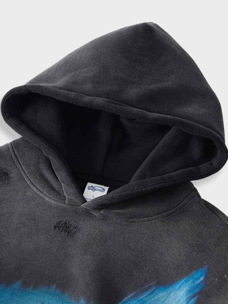 Triumph over Fear Hoodie DriDa